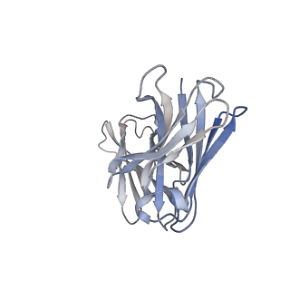 36049_8j7u_F_v1-0
Cryo-EM structure of hZnT7-Fab complex in zinc-bound state, determined in outward-facing conformation