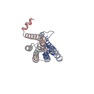 36050_8j7v_B_v1-0
Cryo-EM structure of hZnT7-Fab complex in zinc-unbound state, determined in heterogeneous conformations- one subunit in an inward-facing and the other in an outward-facing conformation