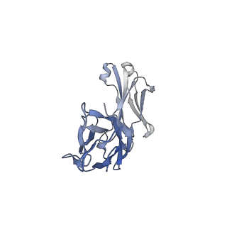 36050_8j7v_C_v1-0
Cryo-EM structure of hZnT7-Fab complex in zinc-unbound state, determined in heterogeneous conformations- one subunit in an inward-facing and the other in an outward-facing conformation
