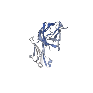 36050_8j7v_D_v1-0
Cryo-EM structure of hZnT7-Fab complex in zinc-unbound state, determined in heterogeneous conformations- one subunit in an inward-facing and the other in an outward-facing conformation