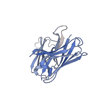 36050_8j7v_F_v1-0
Cryo-EM structure of hZnT7-Fab complex in zinc-unbound state, determined in heterogeneous conformations- one subunit in an inward-facing and the other in an outward-facing conformation