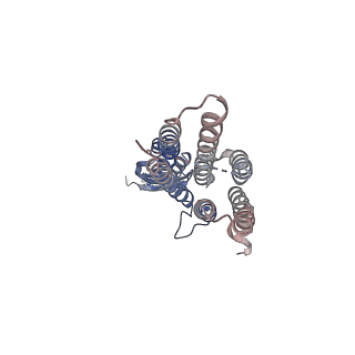 36051_8j7w_A_v1-0
Cryo-EM structure of hZnT7-Fab complex in zinc state 2, determined in heterogeneous conformations- one subunit in an inward-facing zinc-bound and the other in an outward-facing zinc-bound conformation