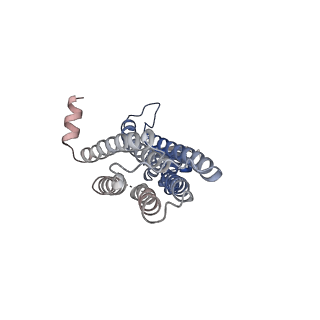 36051_8j7w_B_v1-0
Cryo-EM structure of hZnT7-Fab complex in zinc state 2, determined in heterogeneous conformations- one subunit in an inward-facing zinc-bound and the other in an outward-facing zinc-bound conformation