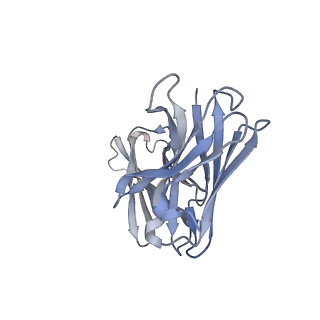 36051_8j7w_F_v1-0
Cryo-EM structure of hZnT7-Fab complex in zinc state 2, determined in heterogeneous conformations- one subunit in an inward-facing zinc-bound and the other in an outward-facing zinc-bound conformation