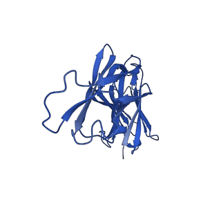36052_8j7x_F_v1-0
Cryo-EM structure of hZnT7DeltaHis-loop-Fab complex in zinc-unbound state, determined in outward-facing conformation