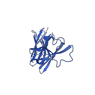 36053_8j7y_E_v1-0
Cryo-EM structure of hZnT7DeltaHis-loop-Fab complex in zinc-bound state, determined in outward-facing conformation