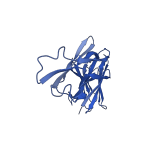 36053_8j7y_F_v1-0
Cryo-EM structure of hZnT7DeltaHis-loop-Fab complex in zinc-bound state, determined in outward-facing conformation