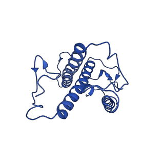 36054_8j7z_C_v1-0
Structure of FCP trimer in Cyclotella meneghiniana