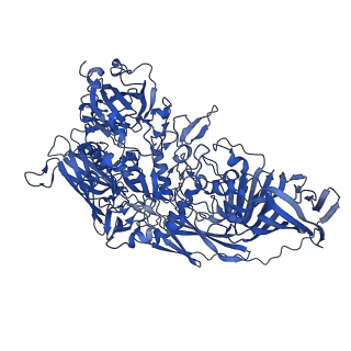 5995_3j7h_A_v1-3
Structure of beta-galactosidase at 3.2-A resolution obtained by cryo-electron microscopy
