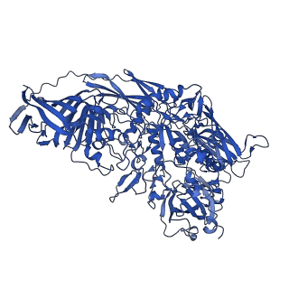 5995_3j7h_C_v1-4
Structure of beta-galactosidase at 3.2-A resolution obtained by cryo-electron microscopy