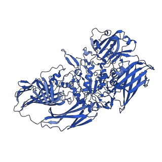 5995_3j7h_D_v1-3
Structure of beta-galactosidase at 3.2-A resolution obtained by cryo-electron microscopy