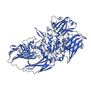 5995_3j7h_D_v1-4
Structure of beta-galactosidase at 3.2-A resolution obtained by cryo-electron microscopy