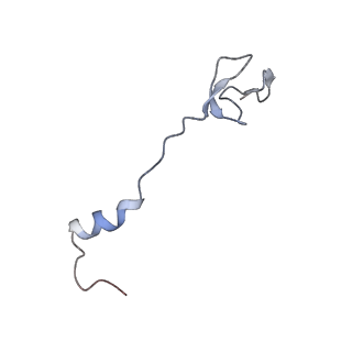 6057_3j7z_0_v1-2
Structure of the E. coli 50S subunit with ErmCL nascent chain