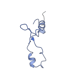 6057_3j7z_3_v1-2
Structure of the E. coli 50S subunit with ErmCL nascent chain