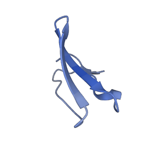 6057_3j7z_4_v1-2
Structure of the E. coli 50S subunit with ErmCL nascent chain