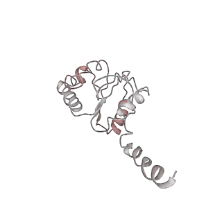 6057_3j7z_5_v1-2
Structure of the E. coli 50S subunit with ErmCL nascent chain