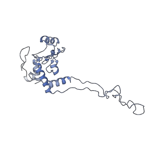 6057_3j7z_E_v1-2
Structure of the E. coli 50S subunit with ErmCL nascent chain