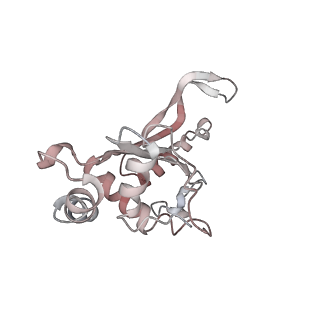 6057_3j7z_F_v1-2
Structure of the E. coli 50S subunit with ErmCL nascent chain