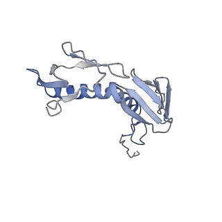 6057_3j7z_G_v1-2
Structure of the E. coli 50S subunit with ErmCL nascent chain