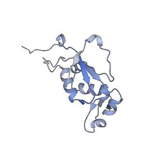 6057_3j7z_J_v1-2
Structure of the E. coli 50S subunit with ErmCL nascent chain