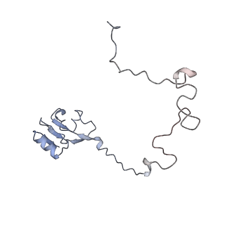 6057_3j7z_L_v1-2
Structure of the E. coli 50S subunit with ErmCL nascent chain