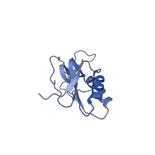 6057_3j7z_M_v1-2
Structure of the E. coli 50S subunit with ErmCL nascent chain