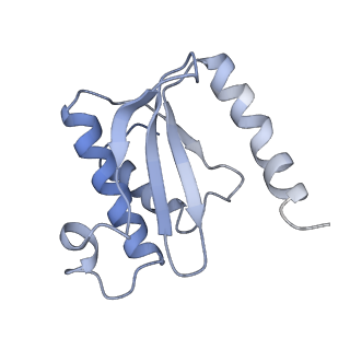 6057_3j7z_O_v1-2
Structure of the E. coli 50S subunit with ErmCL nascent chain