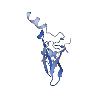 6057_3j7z_P_v1-2
Structure of the E. coli 50S subunit with ErmCL nascent chain