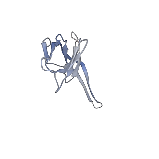 6057_3j7z_R_v1-2
Structure of the E. coli 50S subunit with ErmCL nascent chain