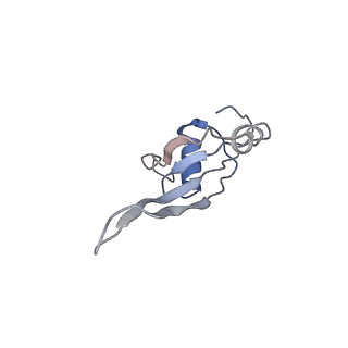 6057_3j7z_T_v1-2
Structure of the E. coli 50S subunit with ErmCL nascent chain