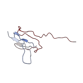 6057_3j7z_W_v1-2
Structure of the E. coli 50S subunit with ErmCL nascent chain