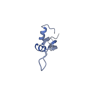 6057_3j7z_X_v1-2
Structure of the E. coli 50S subunit with ErmCL nascent chain