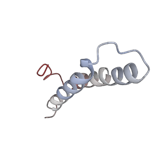 6057_3j7z_Y_v1-2
Structure of the E. coli 50S subunit with ErmCL nascent chain