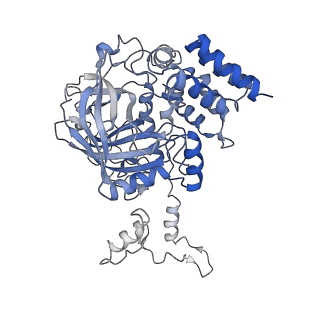 6314_3j7b_A_v1-2
Catalase solved at 3.2 Angstrom resolution by MicroED