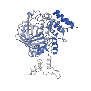 6314_3j7b_A_v1-3
Catalase solved at 3.2 Angstrom resolution by MicroED