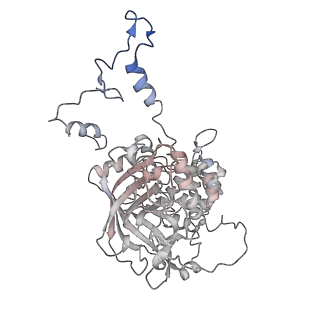6314_3j7b_C_v1-2
Catalase solved at 3.2 Angstrom resolution by MicroED