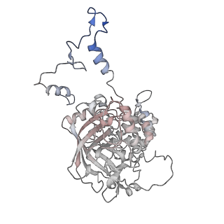 6314_3j7b_C_v1-3
Catalase solved at 3.2 Angstrom resolution by MicroED