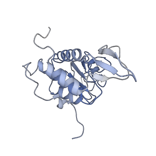 2763_3j81_A_v1-2
CryoEM structure of a partial yeast 48S preinitiation complex