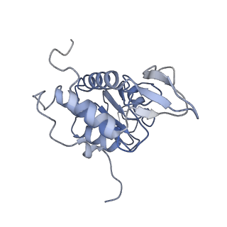 2763_3j81_A_v1-3
CryoEM structure of a partial yeast 48S preinitiation complex