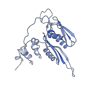 2763_3j81_C_v1-2
CryoEM structure of a partial yeast 48S preinitiation complex
