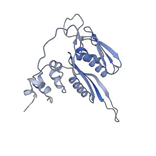 2763_3j81_C_v1-3
CryoEM structure of a partial yeast 48S preinitiation complex