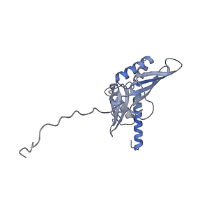 2763_3j81_D_v1-2
CryoEM structure of a partial yeast 48S preinitiation complex