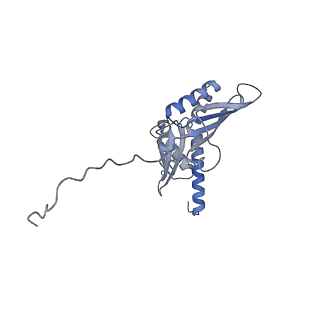 2763_3j81_D_v1-3
CryoEM structure of a partial yeast 48S preinitiation complex