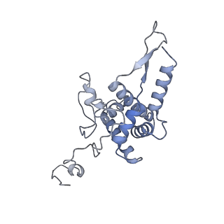 2763_3j81_F_v1-2
CryoEM structure of a partial yeast 48S preinitiation complex