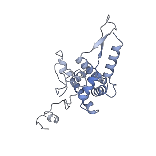 2763_3j81_F_v1-3
CryoEM structure of a partial yeast 48S preinitiation complex