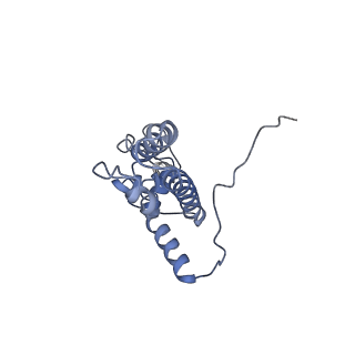 2763_3j81_J_v1-2
CryoEM structure of a partial yeast 48S preinitiation complex
