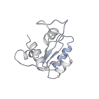 2763_3j81_M_v1-2
CryoEM structure of a partial yeast 48S preinitiation complex