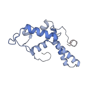 2763_3j81_N_v1-2
CryoEM structure of a partial yeast 48S preinitiation complex