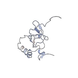 2763_3j81_P_v1-2
CryoEM structure of a partial yeast 48S preinitiation complex