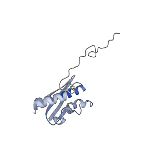 2763_3j81_Q_v1-2
CryoEM structure of a partial yeast 48S preinitiation complex